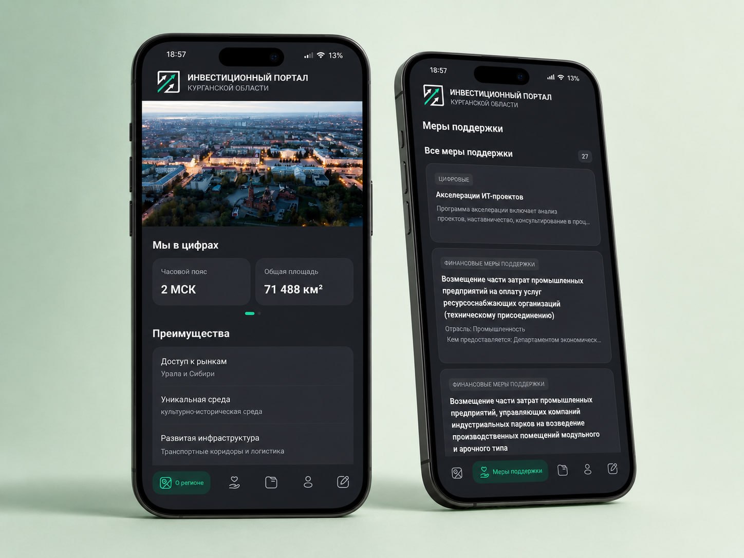 Мобильное приложение инвестора для Курганской области