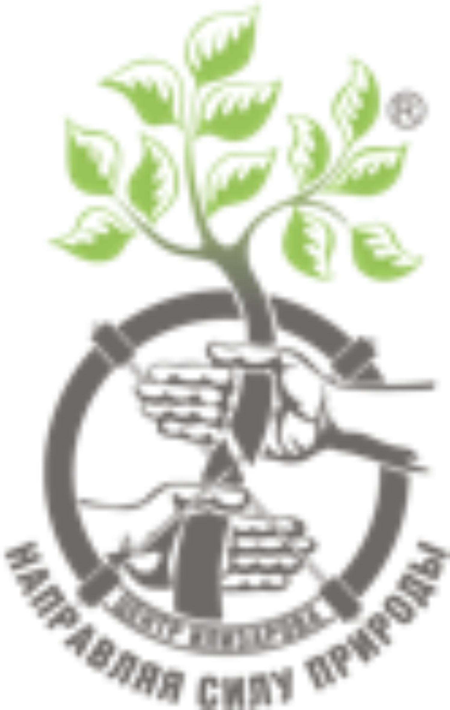 Образовательный портал центра Илизарова